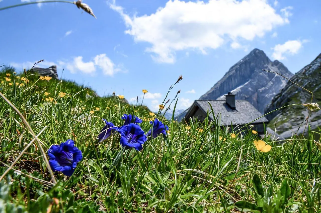 Haus Berggesundzeit Ferienwohnung Koenigsbachalm Schönau am Königssee 독일